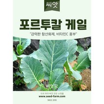 포르투칼 케일씨앗 (600립) 쌈채소씨앗