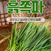 [권상순김치] 쪽파김치 - 25년이상 경력 김치장인의 손맛, 쪽파김치 3kg