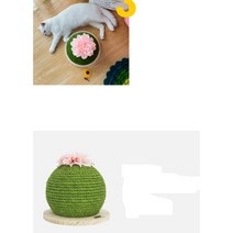 고양이 선인장 스크래쳐 원형 기둥 고공캣 캣모나이트