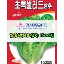 경신종묘 초록샐러드상추 1500립 파종용 상추 씨앗