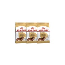 로얄캐닌 독 닥스훈트 어덜트 4.5kg 1.5kg X 3P 견종별사료+파우치1P증정, 독 닥스훈트 어덜트 4.5kg(1.5kg X 3P) 견