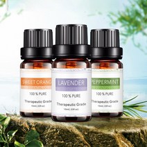 10ml 라벤터 에센셜 5종 로즈마리 쟈스민 유칼립투스 퓨어 식물성 아로마 로즈 M10990 테라피 오일, 라벤더