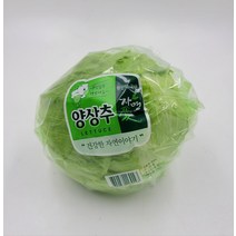 양상추 아삭한 양상추 1통 국내산