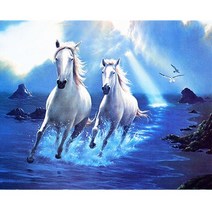 란이네 보석십자수 달리는 백마 성공 전체수 diy키트 DLT1688-220204048-1, 40*30cm