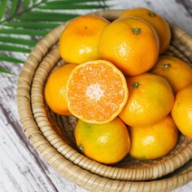 새콤달콤 제주 노지 감귤 4.5kg(L~2L)