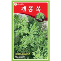 곤드레 100립 - 씨 씨앗 곤드레씨앗 곤드레씨 나물씨 나물씨앗 민속채소 채소씨 채소씨앗 고려엉겅퀴, 14_다농_개똥쑥(1만립)