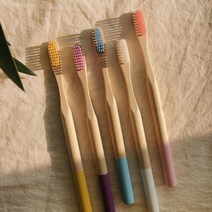 부드러운 대나무 컬러 칫솔 프리미엄 5color [미세모 밤부 제로웨이스트 생분해 나무 제품], 스카이