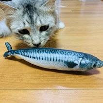 달빛마켓 고양이 꽁치 캣닢마약 장난감, 1개