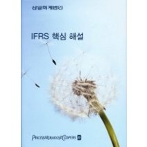 [개똥이네][중고-상] IFRS 핵심 해설