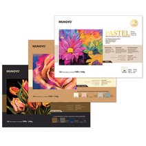 [홈앤스쿨] 문교 A3 파스텔 전용지 20매입 160g, 20매