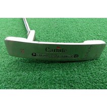 퍼터 카바이트(CARBITE) DS R강도 32인치 커버x