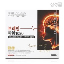 삼성 브레인 1080(500mg x 30캡슐 x 2개)