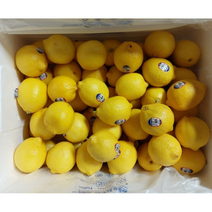 최상급 신선한 레몬 팬시 레몬 lemon 레몬대과 미국레몬 칠레레몬 개당120g내외 미국산 칠레산, 50개