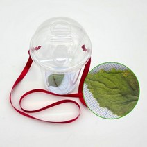 돋보기 관찰 컵 만들기 (5인용) (프레넬 렌즈)