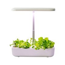 식물재배기 버터헤드 수경재배 화분 가정용 법 시스템 무독성 흙이없는 스마트 심기 기계, 흰색 영국 플러그