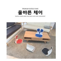 올바른 체어 바른자세 의자 체형 교정 커브 체어 허리 디스크 보호 보조 등받이의자, 블루