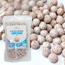 칸후 프로 섭스트라트 고성능 볼여과재 1L 수질개선, 단품