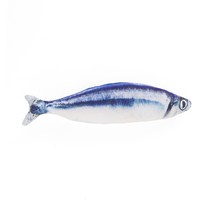 애구애구 고양이 캣닢 물고기 장난감 (20~30cm), 1개, 꽁지 중