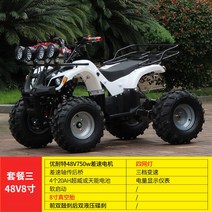 4륜바이크 트럭 사륜 스키장 캠핑용 스포츠, 3  48V750w  20AH  8 인치  전면