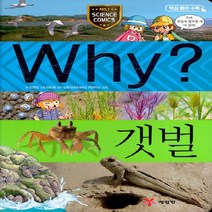 예림당 새책-스테이책터 [Why? 갯벌] -Why? 초등과학학습만화 28-예림당-우연정 글 이두원 그림 임현식 감수-생물과, Why? 갯벌, NSB9788930237284