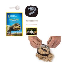 공룡이빨 화석캐기 키트 장난감 성취감발달 화석키트 화석발굴 발굴체험 공룡캐기 화석놀이 추천