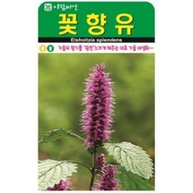 AR 꽃향유 소포장 가을의 향기를 야생화 씨앗