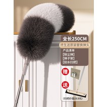 차량용 먼지털이 스위퍼 먼지떨이개 총채 깃털 살포기 더스팅 및 더스팅 가정용 정전기 개폐식 천장 간격 유물, 총 길이 2.5m 먼지떨이 + 물걸레질 빗자루