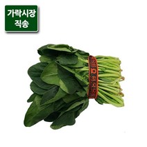 가락시장직송 시금치 1단