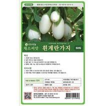밀크티쓸 흰무니 엉겅퀴 2g - 씨 씨앗 밀크씨슬 엉겅퀴씨앗 나물 나물씨앗 채소씨 채소씨앗 흰무니엉겅퀴, 16_다농_흰계란 가지(50립)