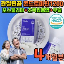 관절앤 콘도로이친 1200 식 약 청 인증 콘드로이친 연골앤 코도로이친 보스웰리아 우슬 초록입홍합 연골코드 레이친 리이친 콘도 로친 노이친 로이드 무릎 무릅 상어연골 해조칼슘