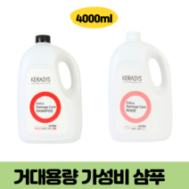거대용량 케라시스 미용실 고시원 업소용 두피가려움 두피각질 정수리냄새 향기좋은 샴푸, 1. 대용량 샴푸