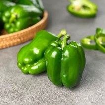 국내산 피망 청피망 10kg 5kg 3kg 2kg 1kg내외 빛고을장터, 1box, 청피망 1kg내외