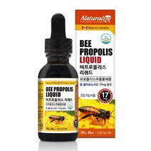 캐나다 프로폴리스 리퀴드 30ml 프로폴리스액 프로폴리스스포이드 약국프로폴리스