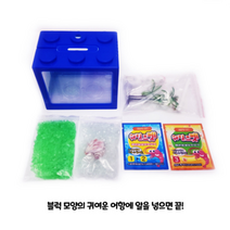에코에듀 바다새우 키우기 키트 어린이 교육용, 2개