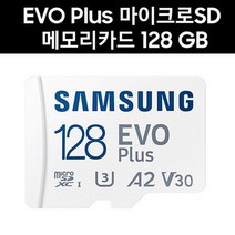 삼성전자 EZVIZ TY1 마이크로SD카드 128G EVO PLUS MicroSD, 128GB