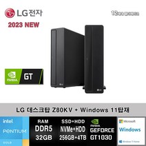 LG전자 데스크탑 12세대 펜티엄 컴퓨터 Z80KV-AR2PS2WTG3+WIN11 (Pen-G7400/32GB/SSD256GB+4TB/GT1030/WIN11)