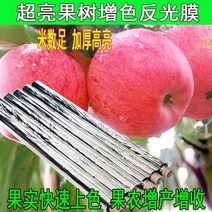 과수원반사필름 과수용 반사필름 사과반사필름 농사용 비닐하우스 포도 사과 광막, 너비 1미터  길이100미터 (펀치)개