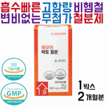 닥터루템 헤모어 락토철분 변비없는철분제 흡수빠른 철분제 비헴철 무첨가 무부형제, 1박스 2개월분