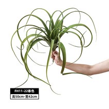 정원 조화 인조 틸란드시아 세로그라피카 대형 그린 베란다 플랜테리어 식물 에어플랜 인테리어, FH11-22봄