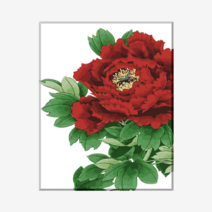(물감2배) 모모픽스페인팅 유화그리기 붉은 목단 꽃 40x50cm DIY명화그리기 캔버스 페인팅 모란
