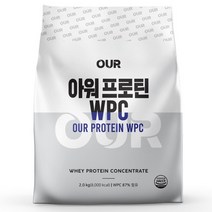 아워 프로틴 WPC 초코맛 2kg, 아워하이엔드 프로틴 초코맛 단백질보충제 WPC 2kg, 1개
