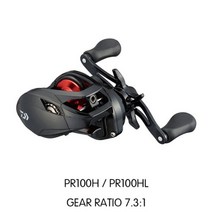 4점대베이트릴DAIWA-베이트 캐스트 릴 PR100 3 + 1BB 기어비 2021: 1 최대 드래그 5kg 바다낚시 릴 6., PR100_왼쪽
