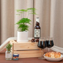 아스파라거스 나누스_도자기 화분(10cm)_2colors, 화이트, 1개