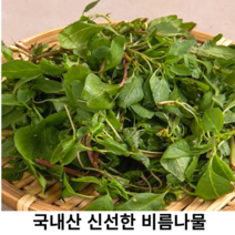 국내산 신선한 비름나물 400g 1kg 생 비름나물 제철 봄나물 참비름 당일채취 싱싱한 국산 비름나물 무침