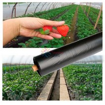 10 50m 두껍게 0.014mm 검은 농업 그늘 pe 필름 온실 서리 방지 제초 제어 식물은 따뜻한 멀칭 필름을 유지, 0.014mm 1x10m