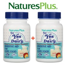 네이처스플러스 락타아제 Enzyme DairyMate 엔자임 효소 츄어블 50정 2팩