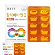 종근당 활력 비타민B 플러스 비타민B컴플렉스 메가도즈B 고농축비타민B