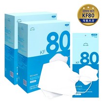바이오셀프케어 KF80 마스크 대형 화이트 개별포장 100매(50매x2박스), 바이오셀프케어/KF80/대형/화이트/100매