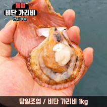 당일조업 통영 비단 가리비 생물 구이 찜, 비단가리비 1kg, 1개