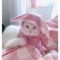 펫씨스터 강아지 썬구리 고양이 금테 검정테 렌즈없는 안경 선글라스 패션 악세사리 안경줄